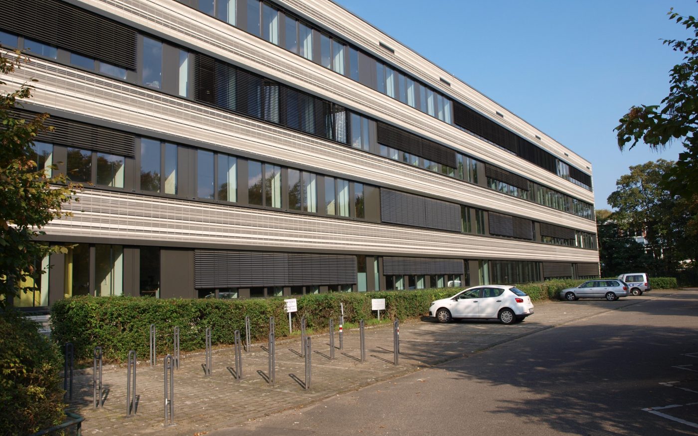 Featuring Ammonit tiles (not Corium)