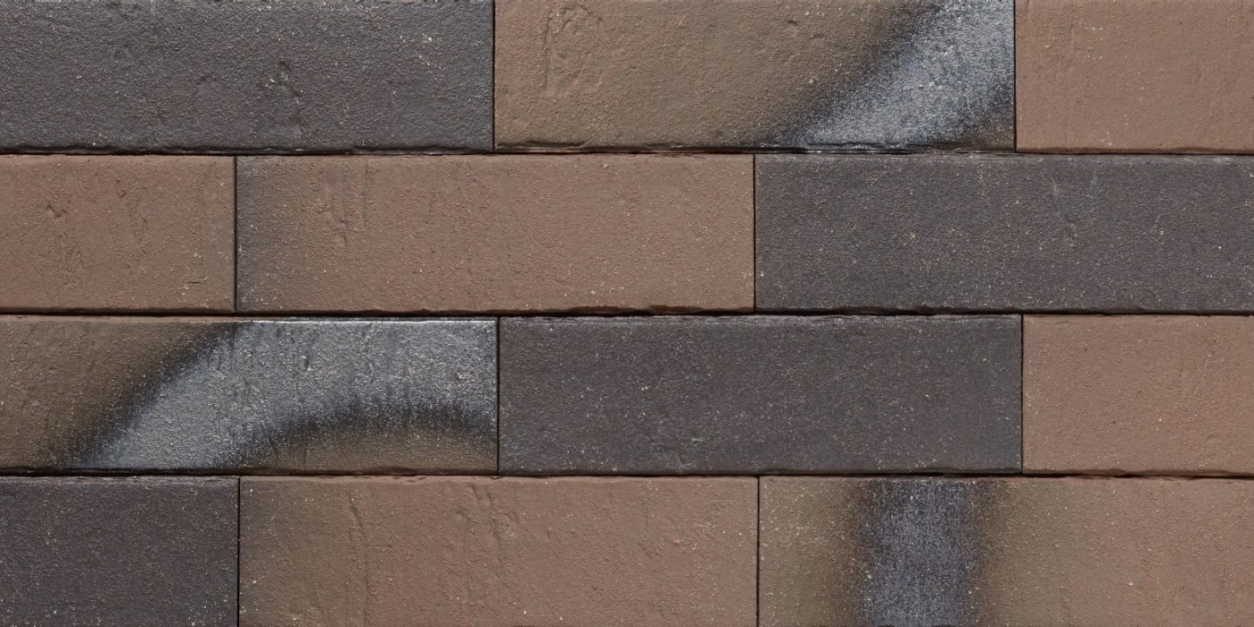 Pelaris_Maroon_Brown