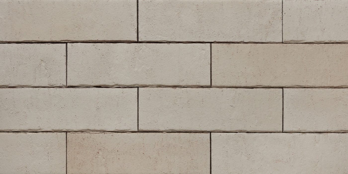 Pelaris_Mantis_White