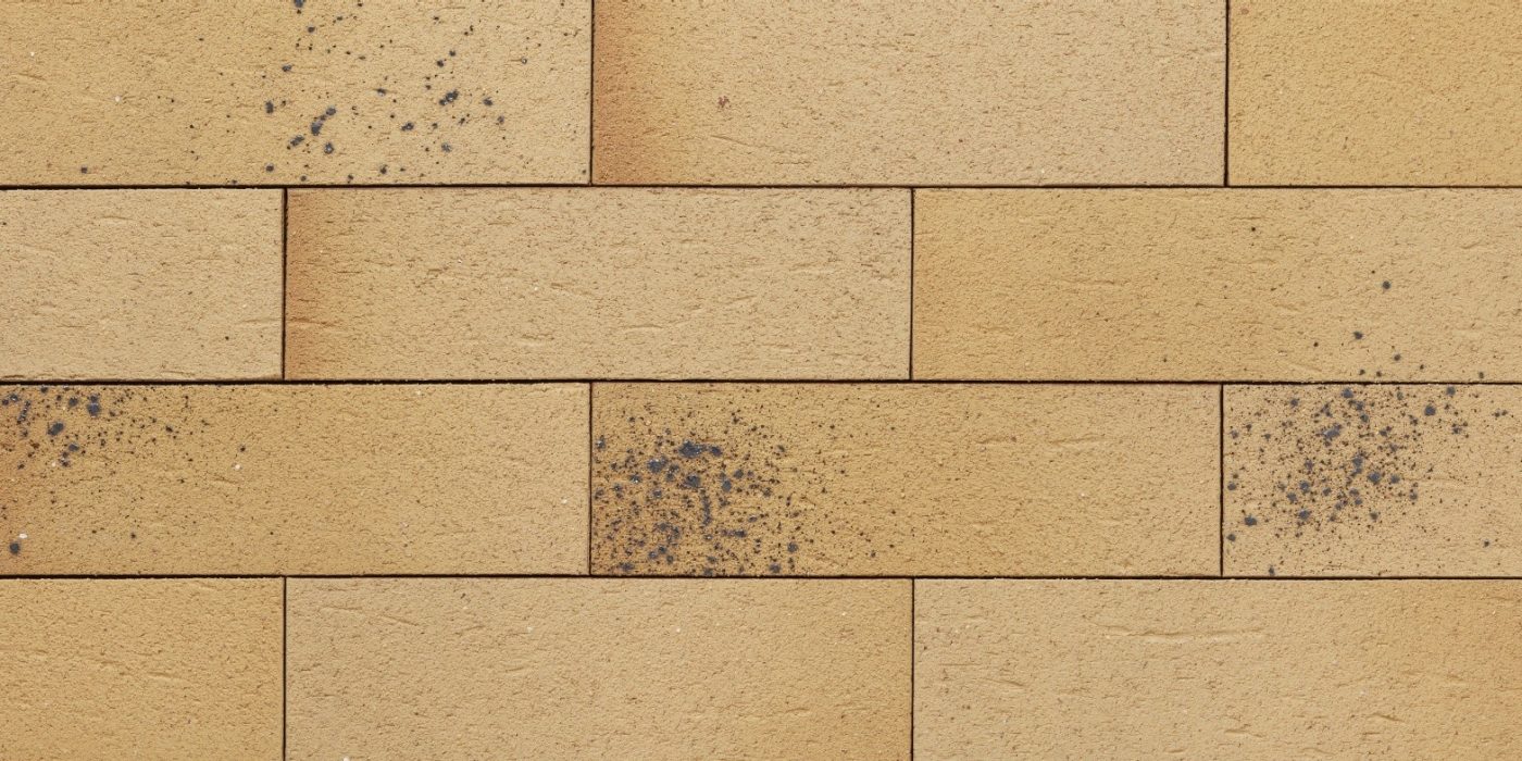 Fasanis_Papaya_Yellow