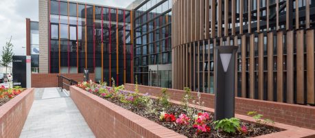Colourful flowers in brick flower bed outside the buildings entrance