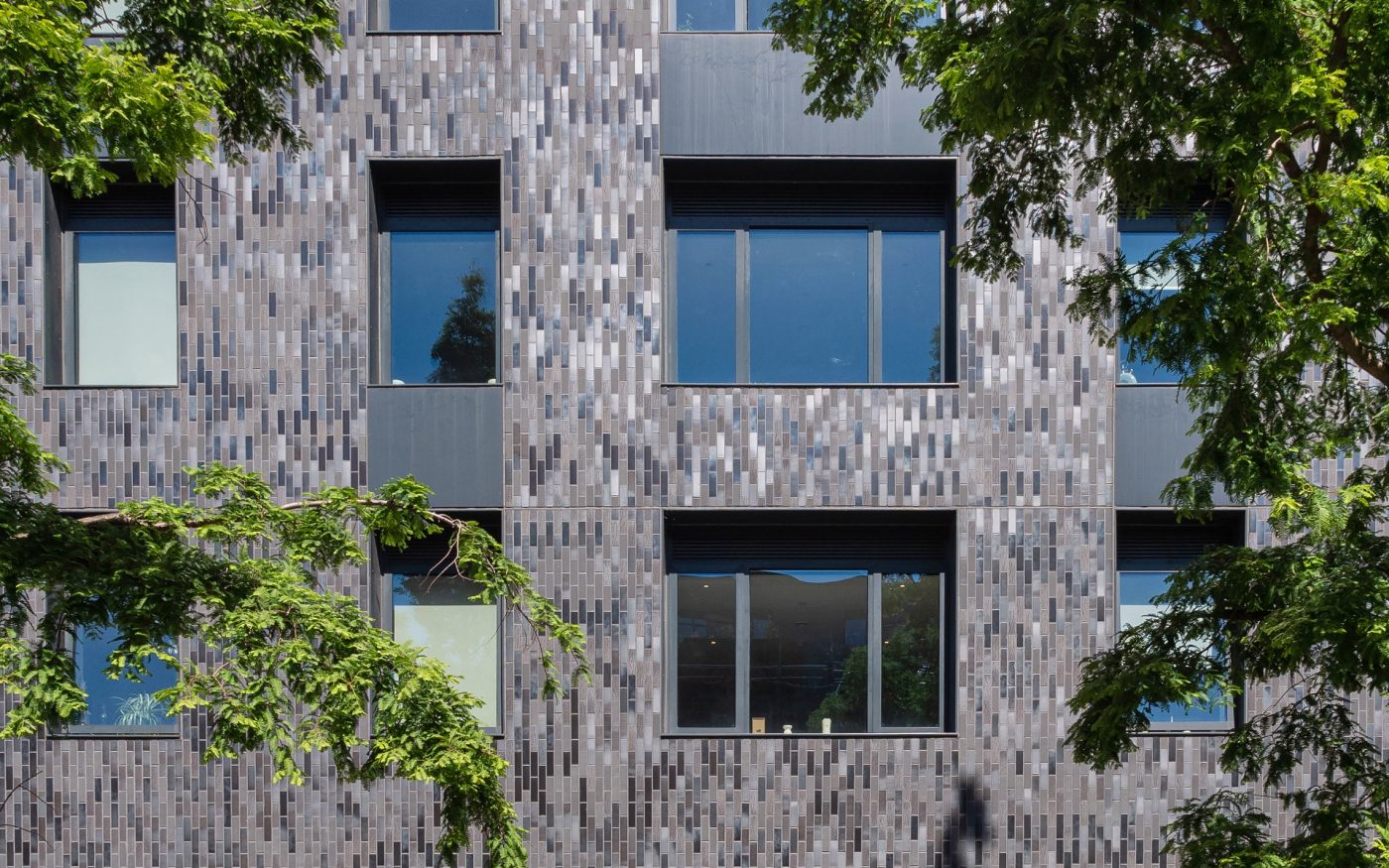 Green trees in front of modern building with Corium brick tile cladding