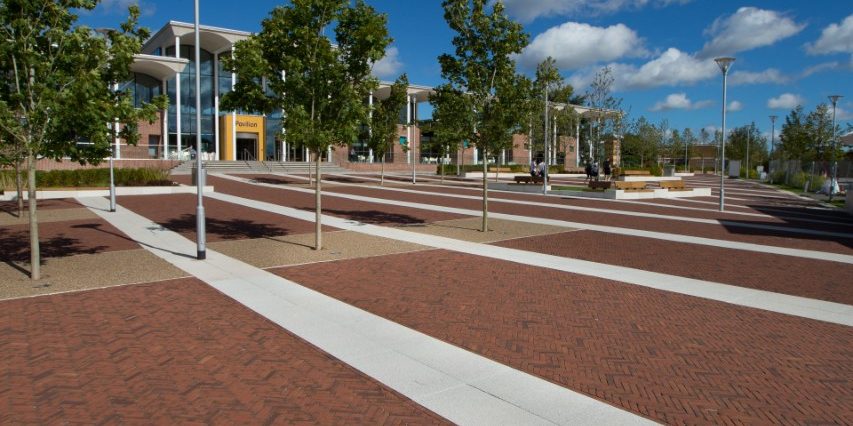 Rosa Waterstruck WF paver